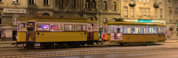 10.  ábra. A roncsként megkapott 2806 motorkocsi és az 5884 pótkocsi felújítás után. (Fotó: Tóth Zsolt) 