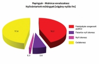 29. ábra. A mahócai szárnyvonalban lévő műtárgyak hosszai