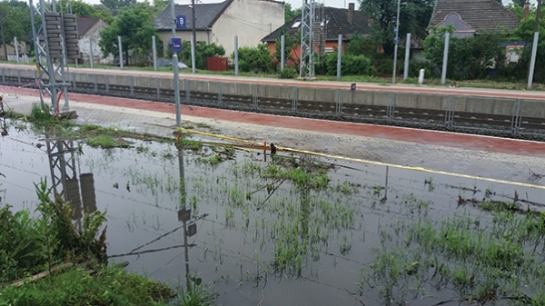 6. ábra. Rákosliget megállóhely a júniusi nagy esőzés után (Fotó: Apró Márton)