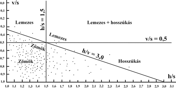 1. ábra. Szemalak megnevezése a szemek tengelyaránya alapján