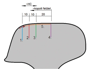 1. ábra. Mérési pontok a sínfejen