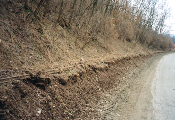 3. ábra. Pályaállapotok 2000-ben (Fotó: Gerlang Ferenc)