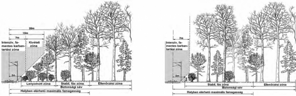 3. ábra. A Svájci Szövetségi Vasutak (SBB) előírása növényzetre fő- és mellékvonalak esetén