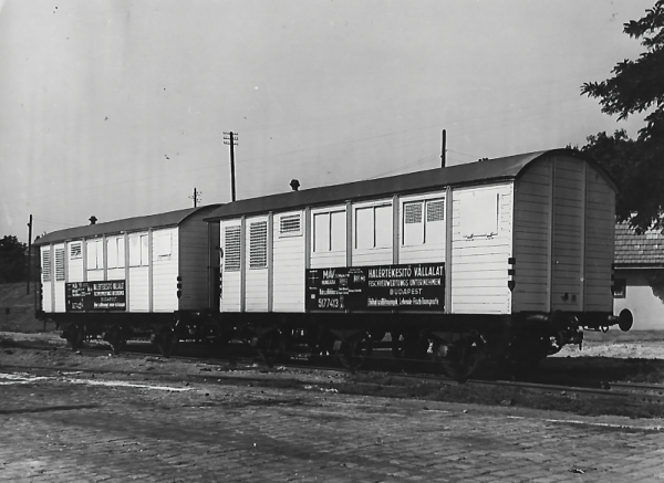 11. ábra. Élőhal-szállítás vasúton; Budapest, 1956. (Forrás: Magyar Kereskedelmi és Vendéglátóipari Múzeum, Kereskedelemtörténeti fotógyűjtemény) 