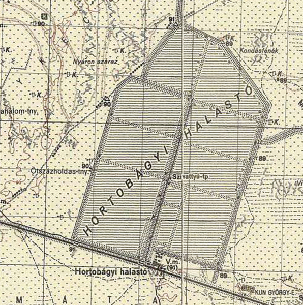 2. ábra. A halastó és a kisvasút egy 1941-es katonai térképen. (Forrás: Arcanum)